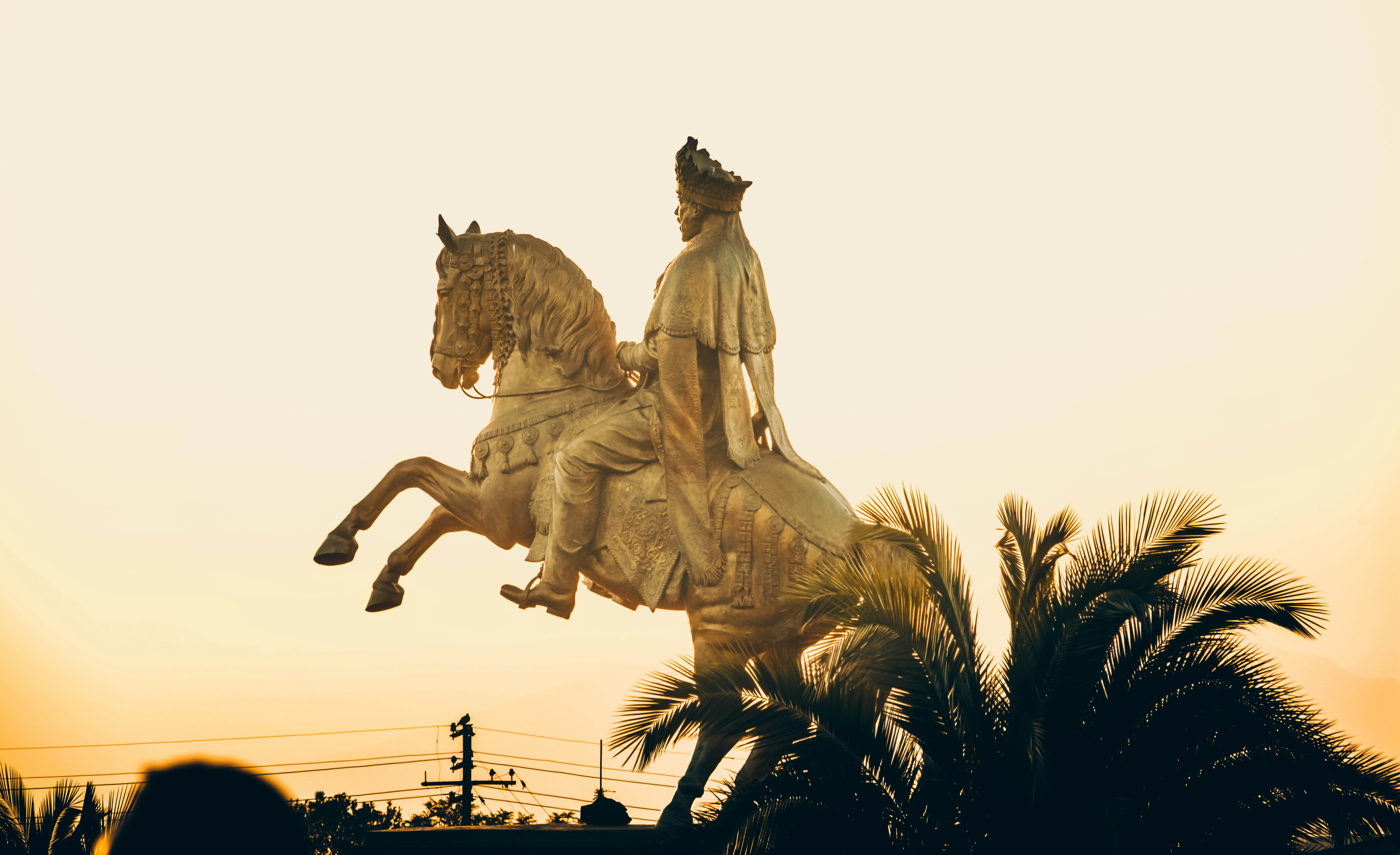 gift habeshaw  C5cJ41YPDg unsplash